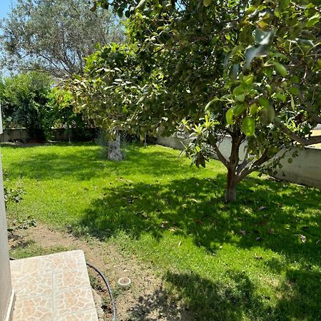 Appartement Fotis House à Afantou Extérieur photo