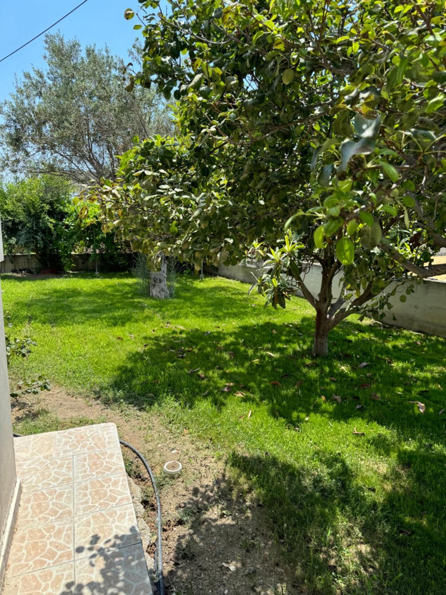 Appartement Fotis House à Afantou Extérieur photo